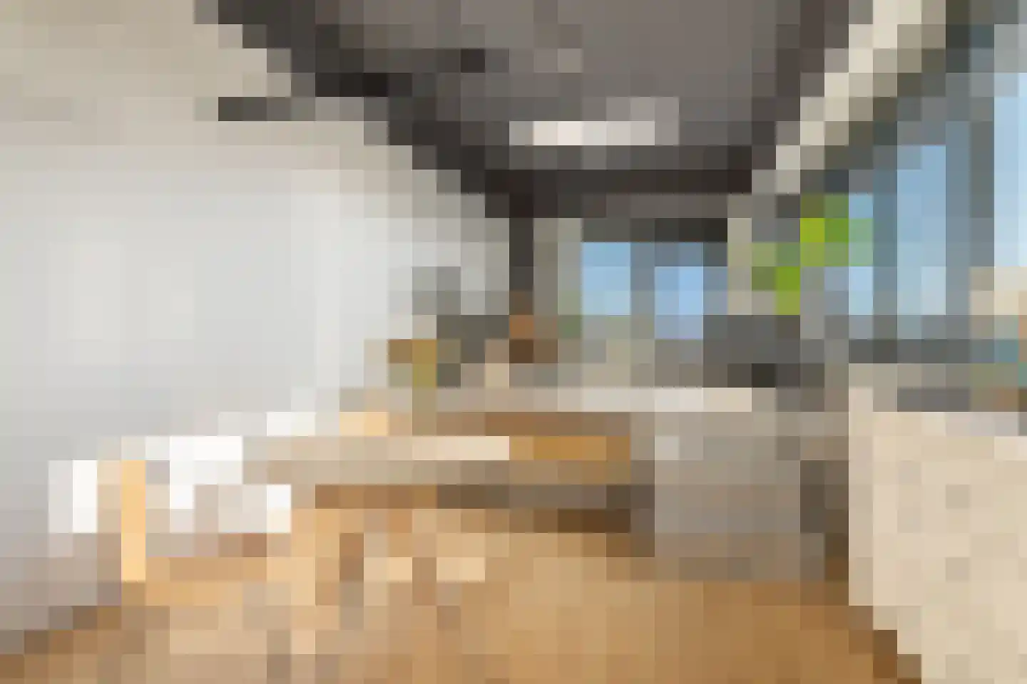 Willem de Zwijgerlaan 334 D 25 Amsterdam thumbnail 13