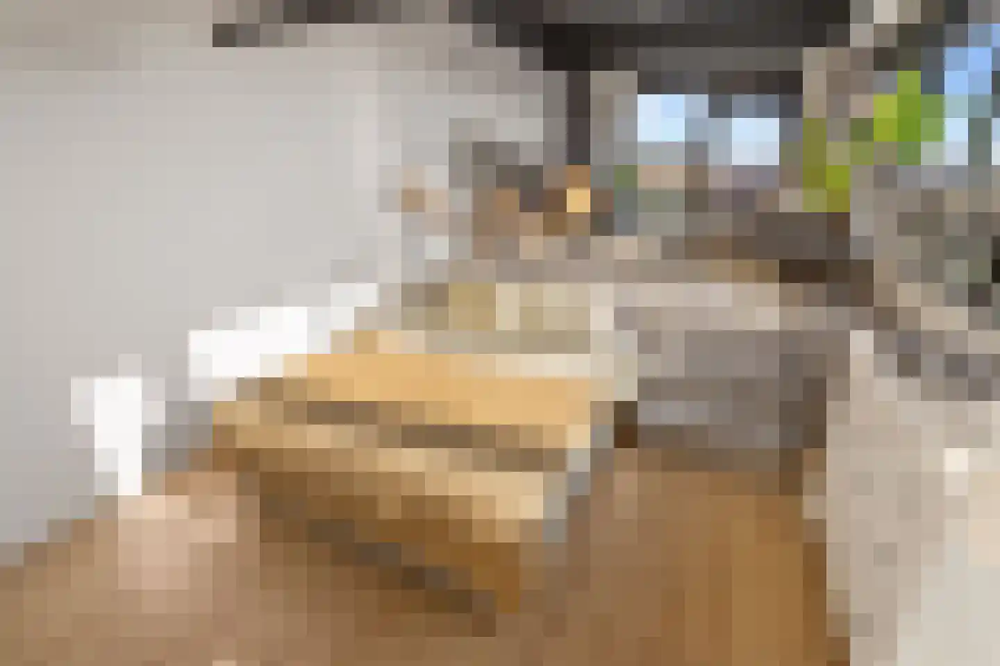 Willem de Zwijgerlaan 334 D 25 Amsterdam thumbnail 15