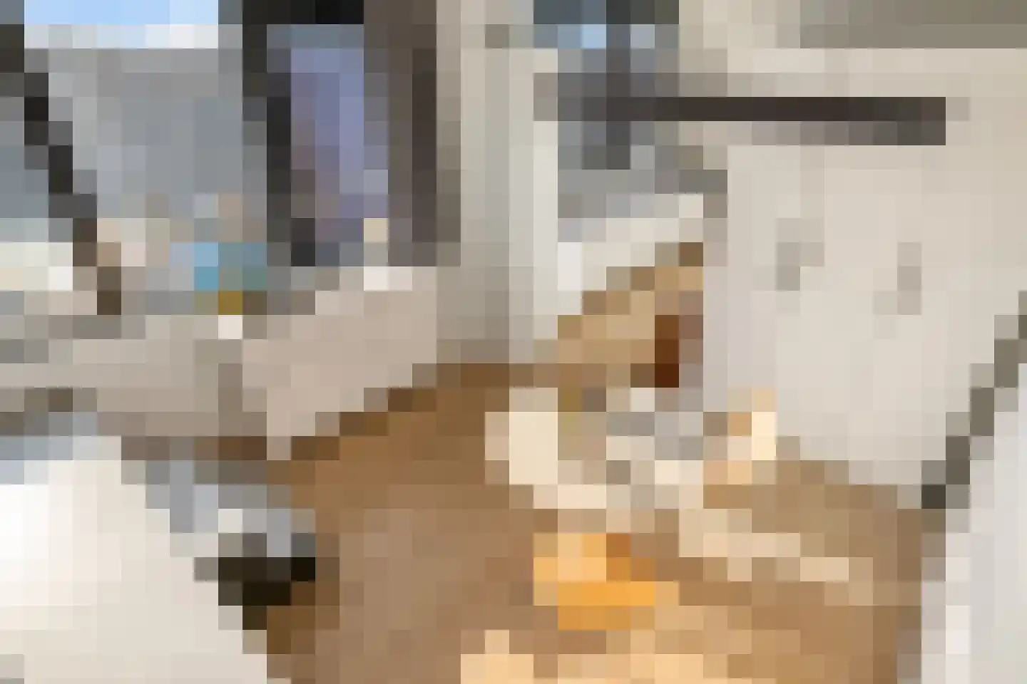 Willem de Zwijgerlaan 334 D 25 Amsterdam thumbnail 16