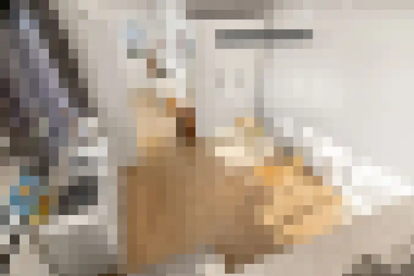 Willem de Zwijgerlaan 334 D 25 Amsterdam thumbnail 17