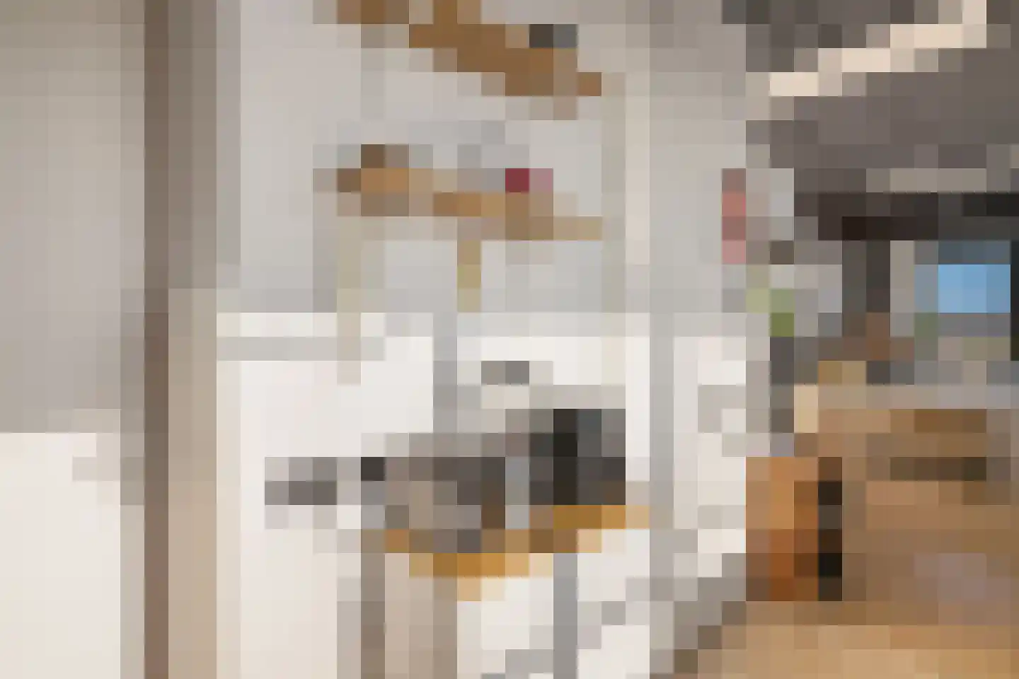 Willem de Zwijgerlaan 334 D 25 Amsterdam thumbnail 18