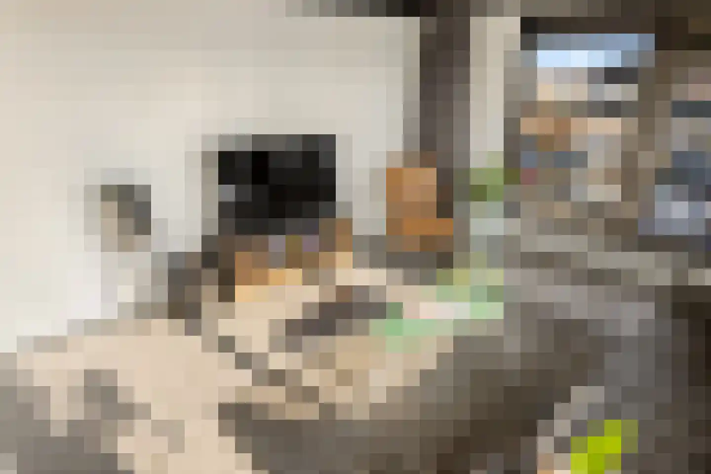 Willem de Zwijgerlaan 334 D 25 Amsterdam thumbnail 6