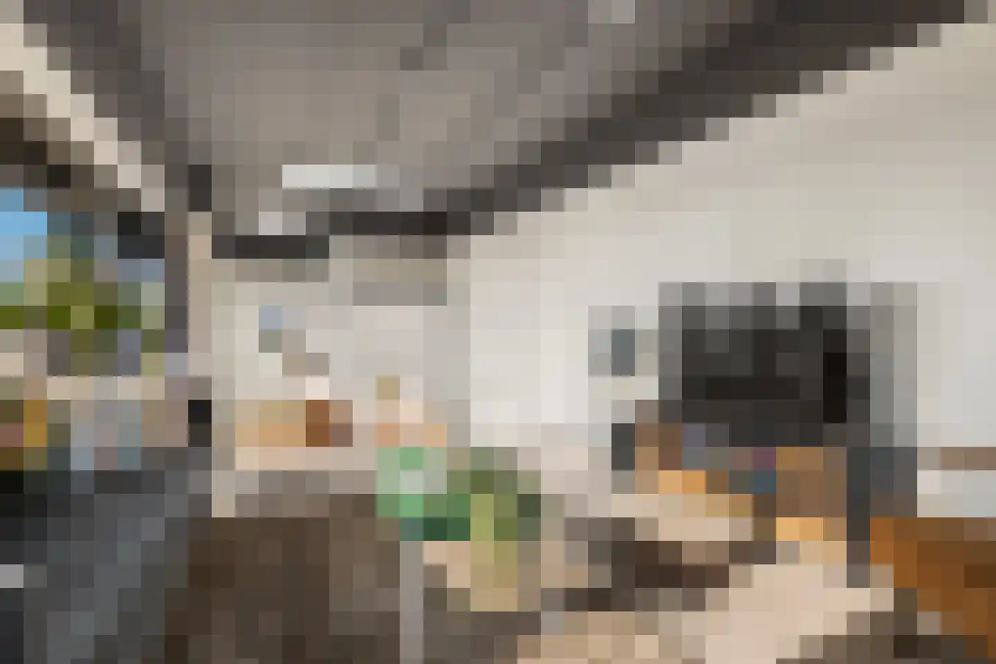 Willem de Zwijgerlaan 334 D 25 Amsterdam thumbnail 7