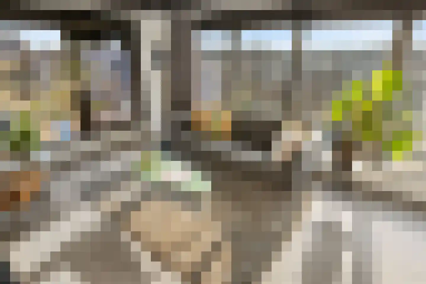 Willem de Zwijgerlaan 334 D 25 Amsterdam thumbnail 8