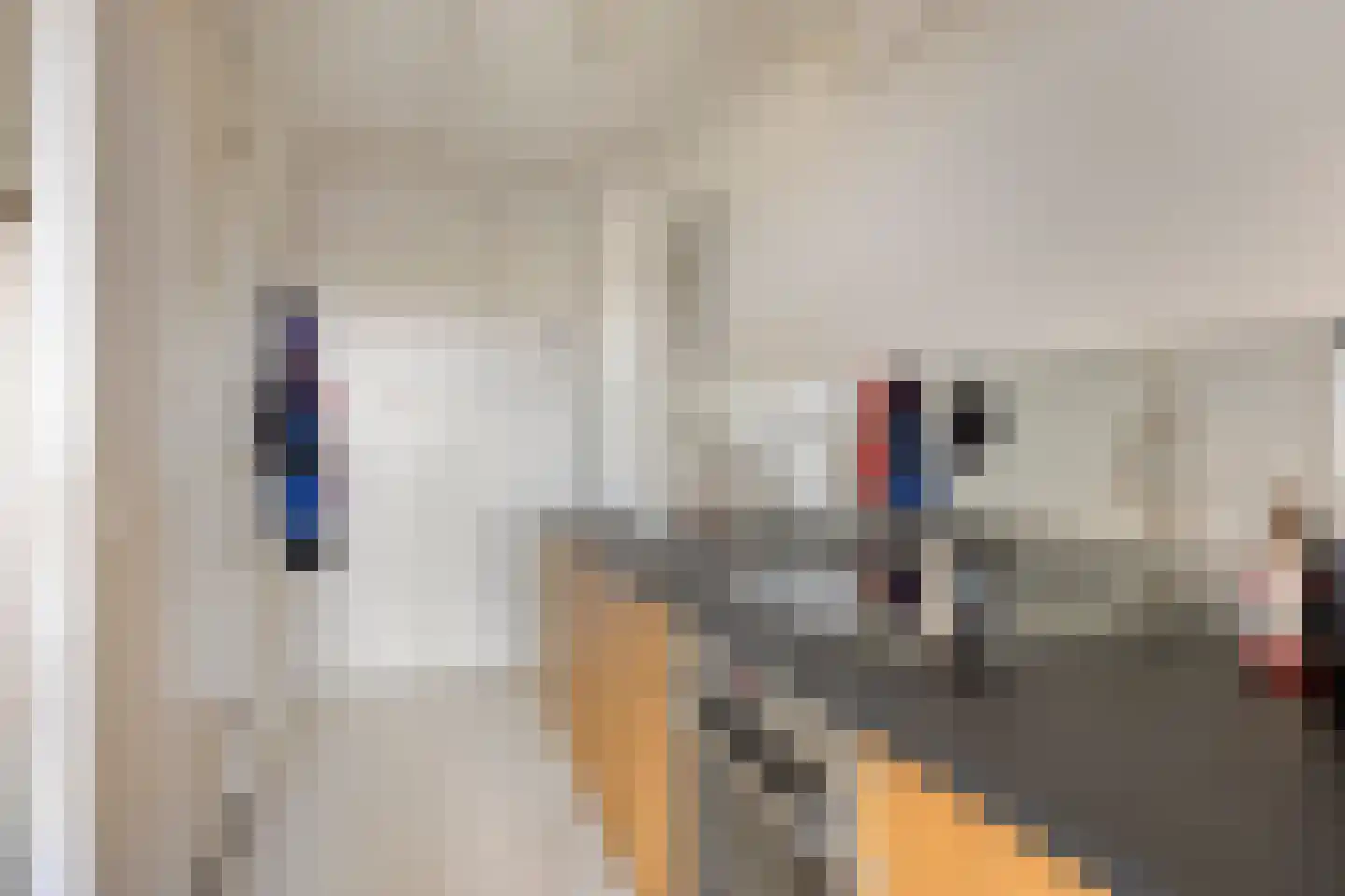 Willem de Zwijgerlaan 334 E 11 Amsterdam thumbnail 12
