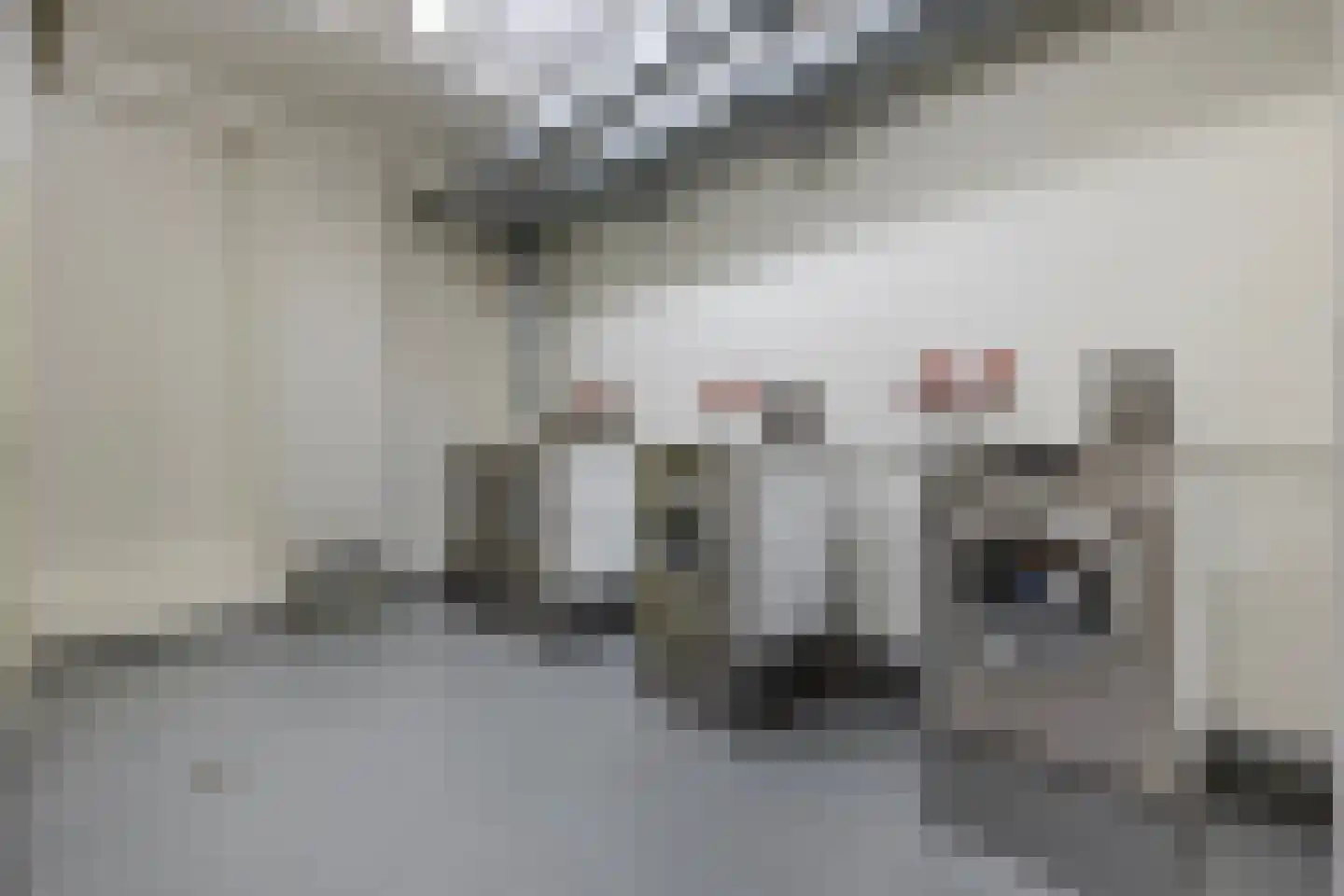 Willem de Zwijgerlaan 334 E 11 Amsterdam thumbnail 25