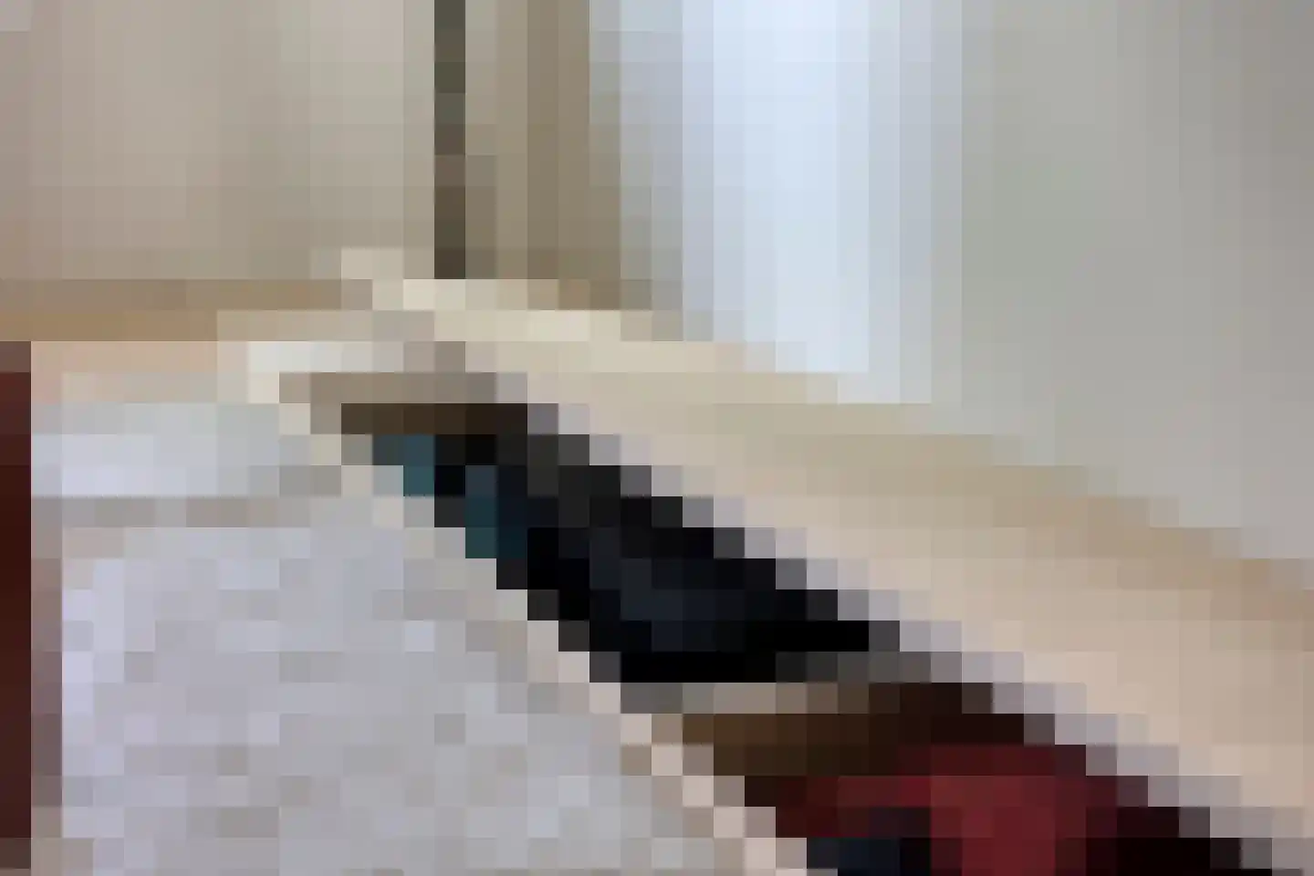 Willem de Zwijgerlaan 334 E 11 Amsterdam thumbnail 9