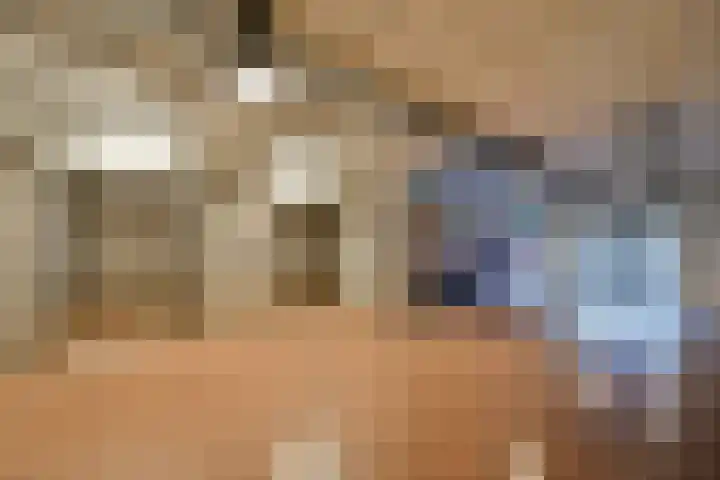 Willem de Zwijgerlaan 334 E 2 Amsterdam thumbnail 13