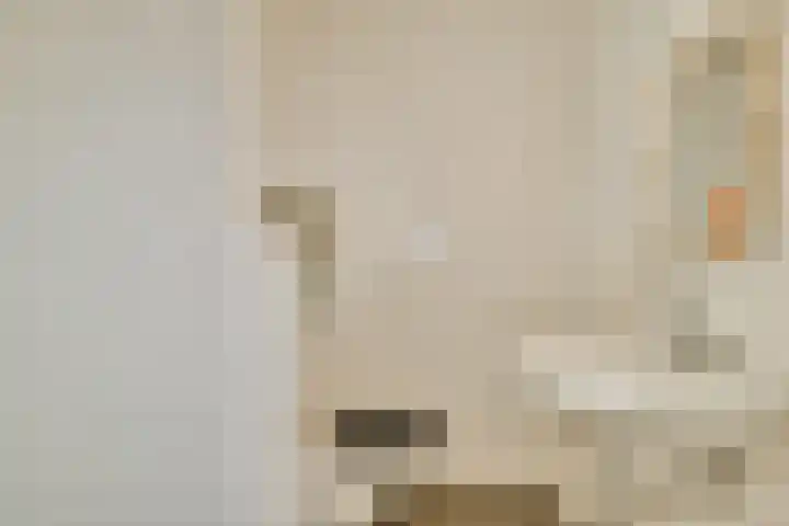 Willem de Zwijgerlaan 334 E 2 Amsterdam thumbnail 9