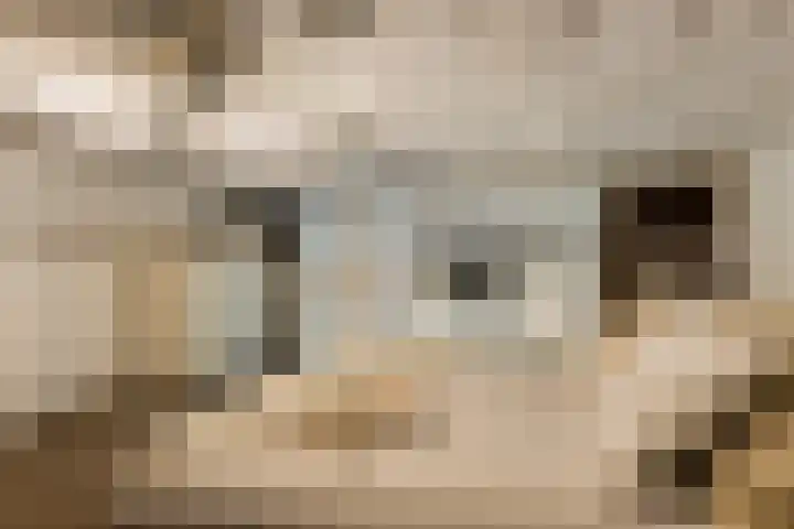 Willem de Zwijgerlaan 334 E 5 Amsterdam thumbnail 10