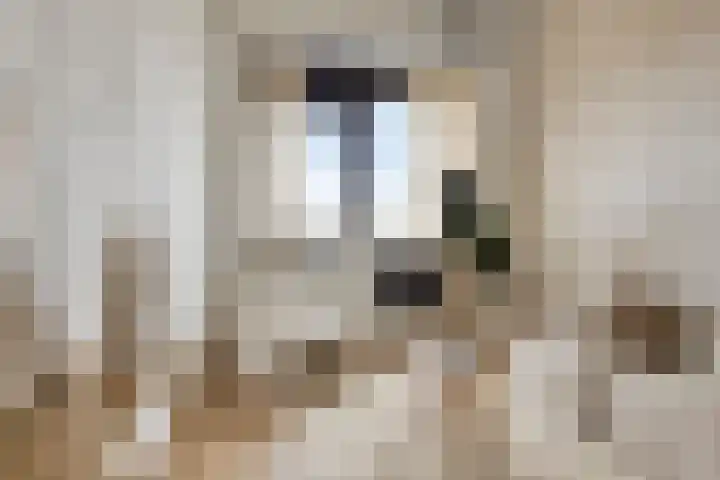 Willem de Zwijgerlaan 334 E 5 Amsterdam thumbnail 4