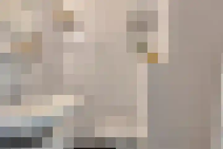Willem de Zwijgerlaan 334 E 5 Amsterdam thumbnail 7