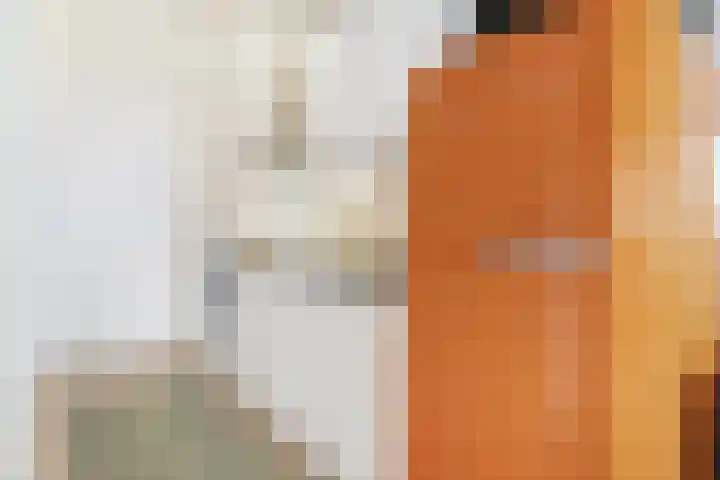 Willem de Zwijgerlaan 334 E 7 Amsterdam thumbnail 10
