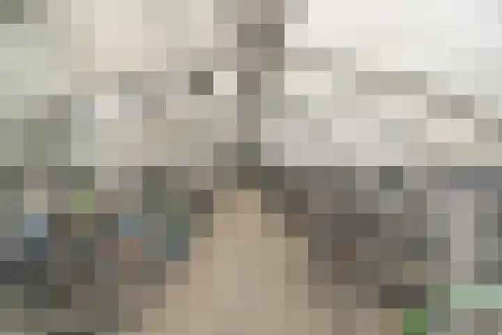 Willem de Zwijgerlaan 334 E 7 Amsterdam thumbnail 22