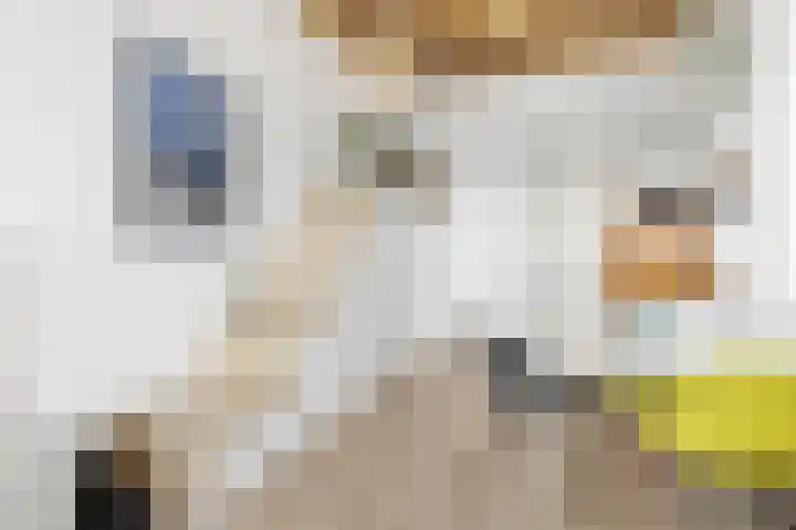 Willem de Zwijgerlaan 334 E 7 Amsterdam thumbnail 5