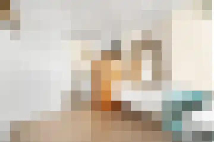 Willem de Zwijgerlaan 334 E 7 Amsterdam thumbnail 7