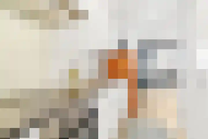 Willem de Zwijgerlaan 334 E 7 Amsterdam thumbnail 8