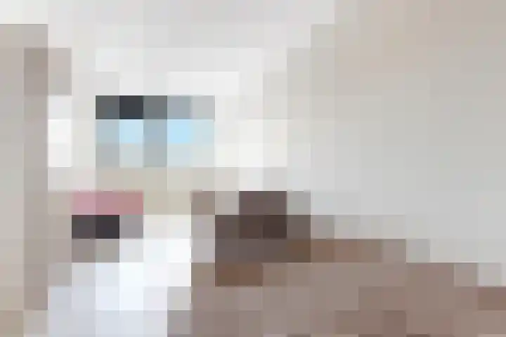 Willem de Zwijgerlaan 334 E 9 Amsterdam thumbnail 8