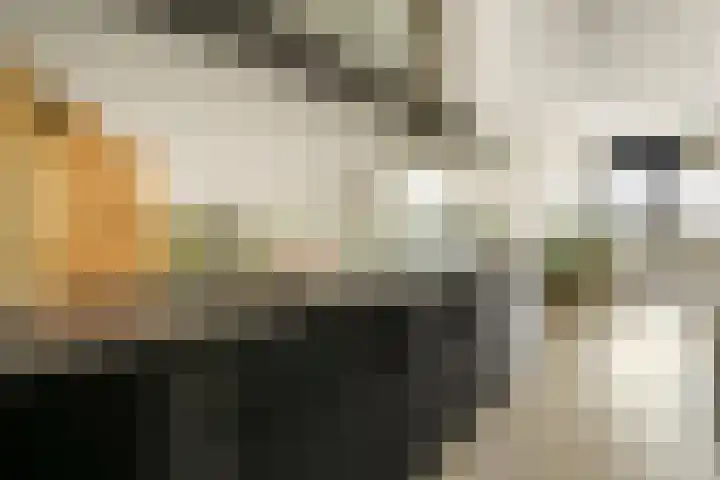 Willem de Zwijgerlaan 334 F 11 Amsterdam thumbnail 10