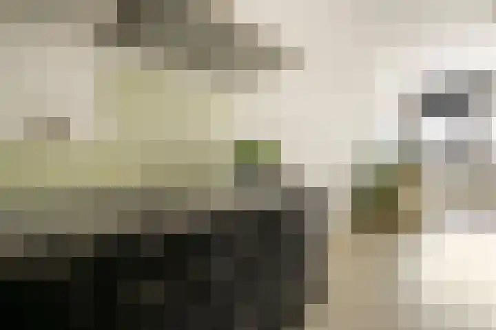 Willem de Zwijgerlaan 334 F 11 Amsterdam thumbnail 11