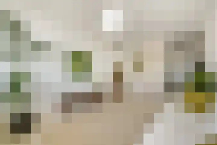 Willem de Zwijgerlaan 334 F 11 Amsterdam thumbnail 5