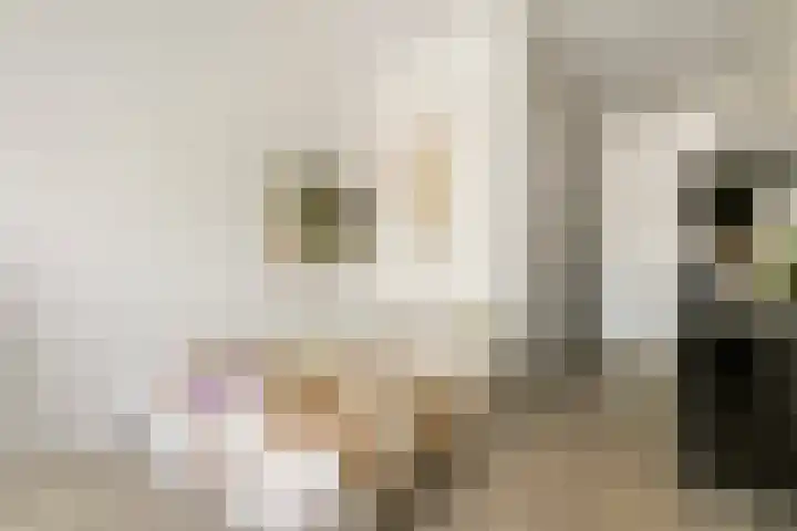 Willem de Zwijgerlaan 334 F 11 Amsterdam thumbnail 6