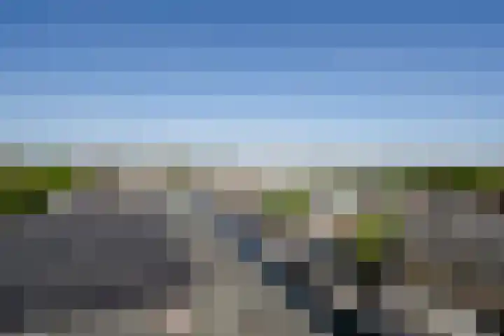 Willem de Zwijgerlaan 334 F 11 Amsterdam thumbnail 7