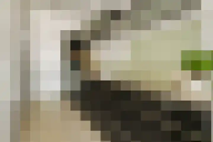 Willem de Zwijgerlaan 334 F 11 Amsterdam thumbnail 8
