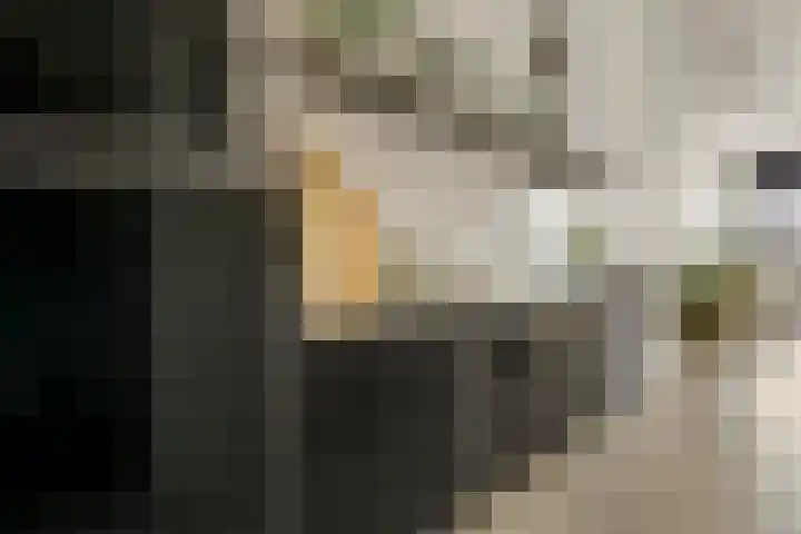 Willem de Zwijgerlaan 334 F 11 Amsterdam thumbnail 9