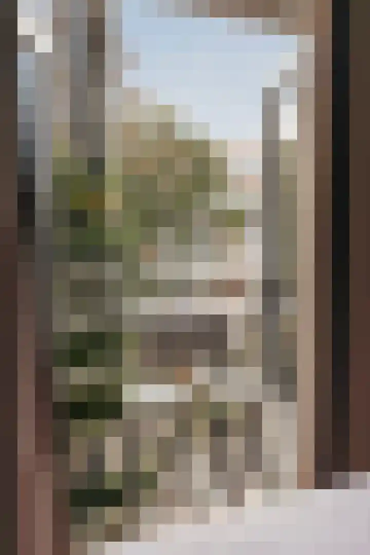 Willem de Zwijgerlaan 335 3 Amsterdam thumbnail 23