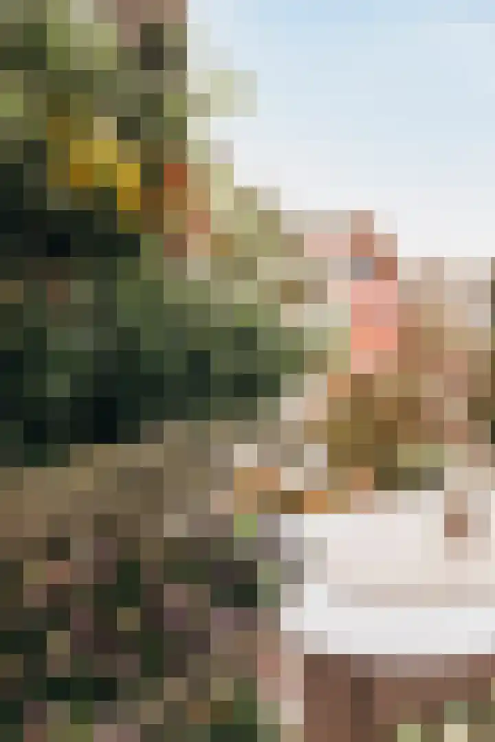 Willem de Zwijgerlaan 335 3 Amsterdam thumbnail 25
