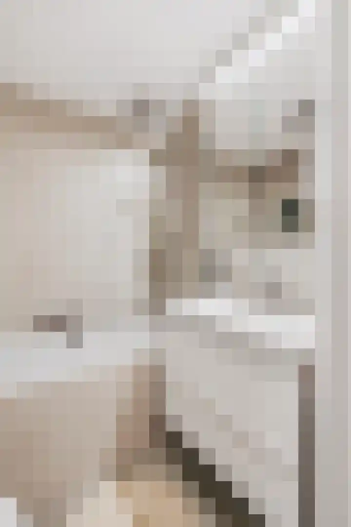 Willem de Zwijgerlaan 335 3 Amsterdam thumbnail 31
