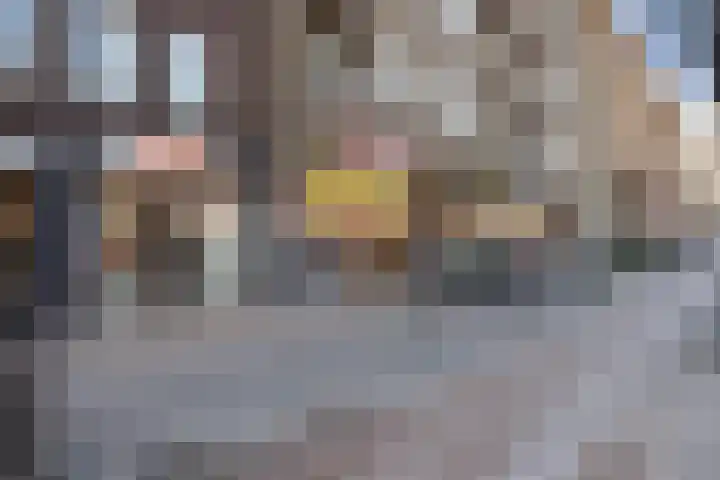 Willem de Zwijgerlaan 335 3 Amsterdam thumbnail 36