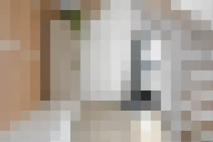 Willem de Zwijgerlaan 34 Zevenaar thumbnail 19