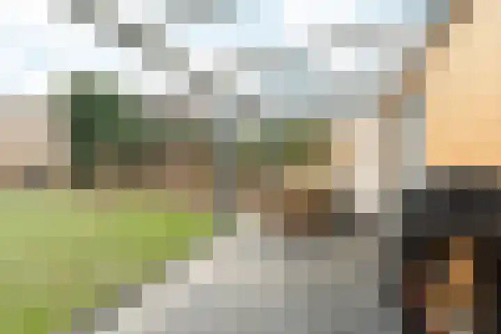 Willem de Zwijgerlaan 34 Zevenaar thumbnail 30