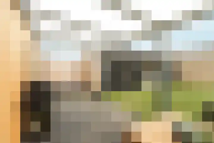Willem de Zwijgerlaan 34 Zevenaar thumbnail 31
