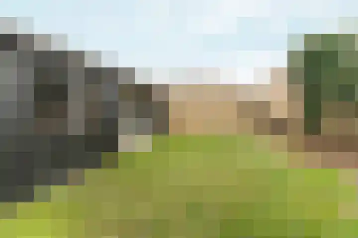 Willem de Zwijgerlaan 34 Zevenaar thumbnail 32
