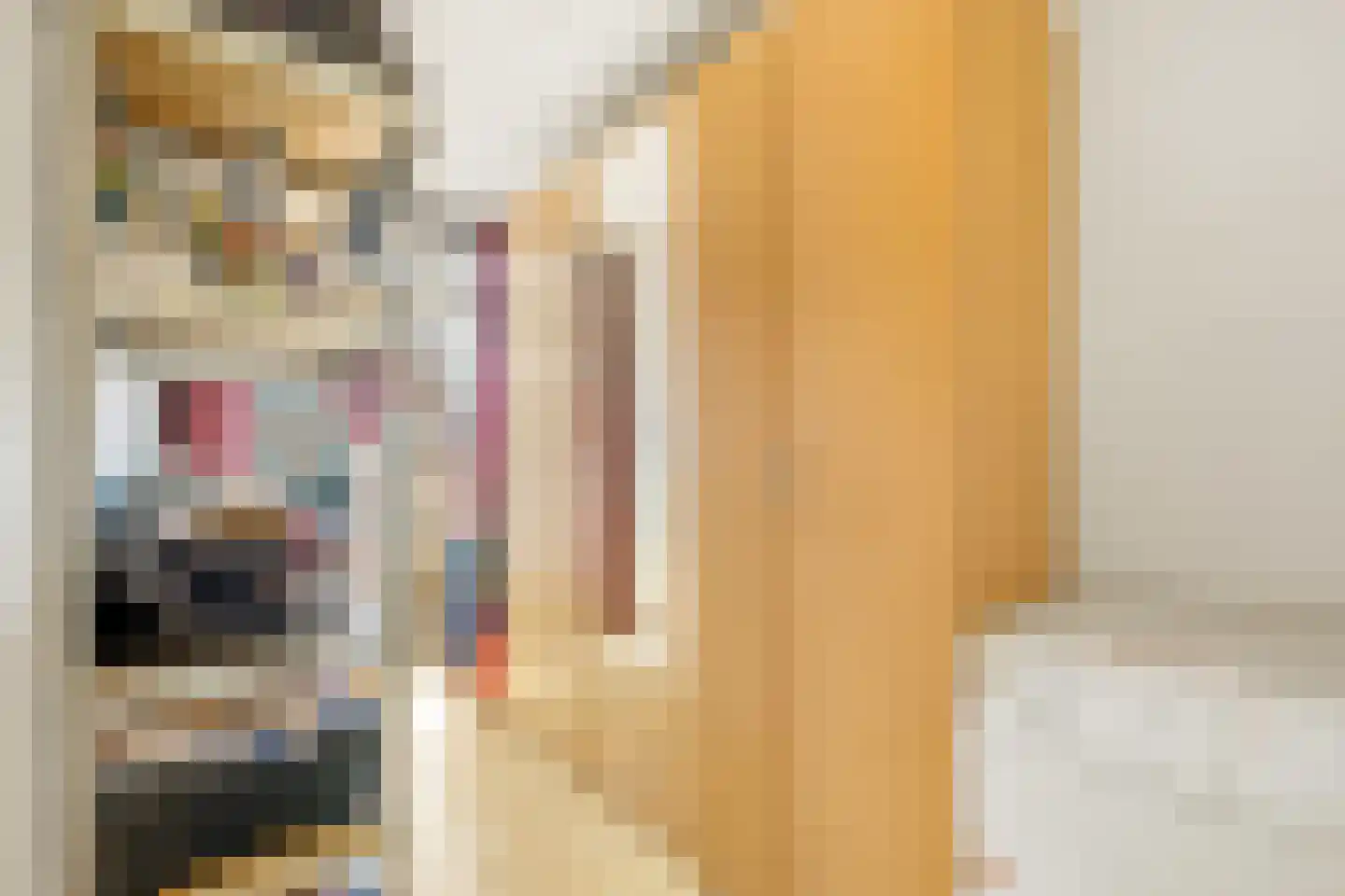 Willem de Zwijgerlaan 347 2 Amsterdam thumbnail 12