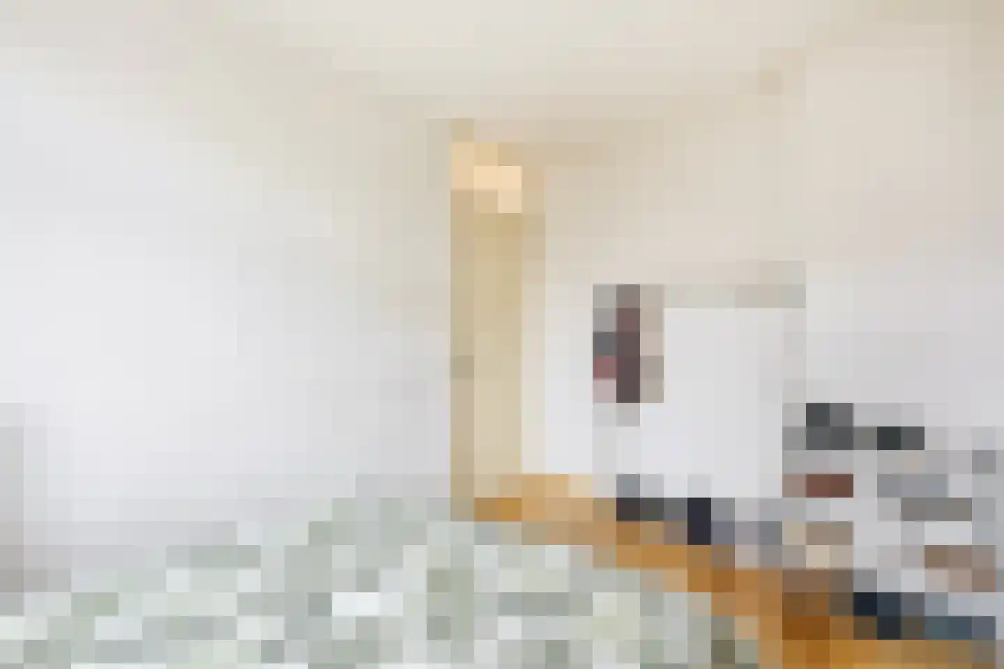 Willem de Zwijgerlaan 347 2 Amsterdam thumbnail 16