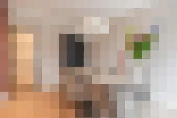 Willem de Zwijgerlaan 35 Katwijk thumbnail 15