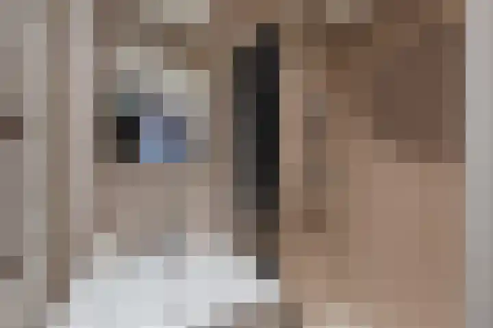 Willem de Zwijgerlaan 35 Katwijk thumbnail 31