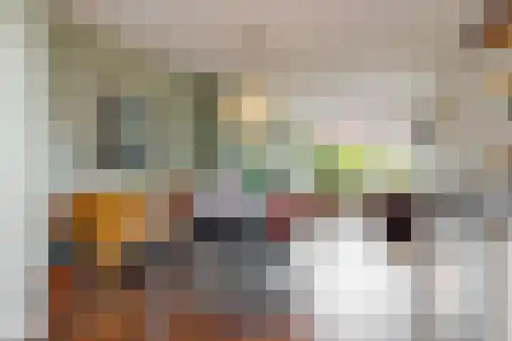 Willem de Zwijgerlaan 35 Leiderdorp thumbnail 12