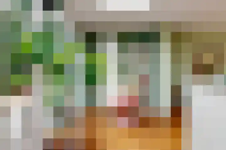 Willem de Zwijgerlaan 35 Leiderdorp thumbnail 18