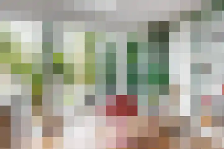 Willem de Zwijgerlaan 35 Leiderdorp thumbnail 19