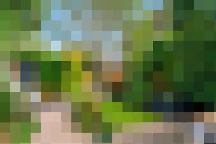 Willem de Zwijgerlaan 35 Leiderdorp thumbnail 39