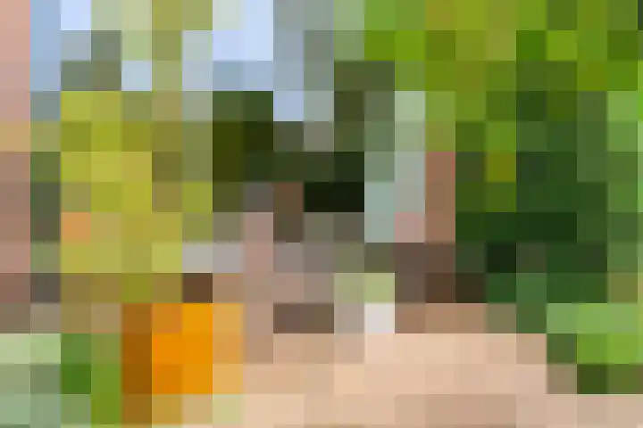 Willem de Zwijgerlaan 35 Leiderdorp thumbnail 4