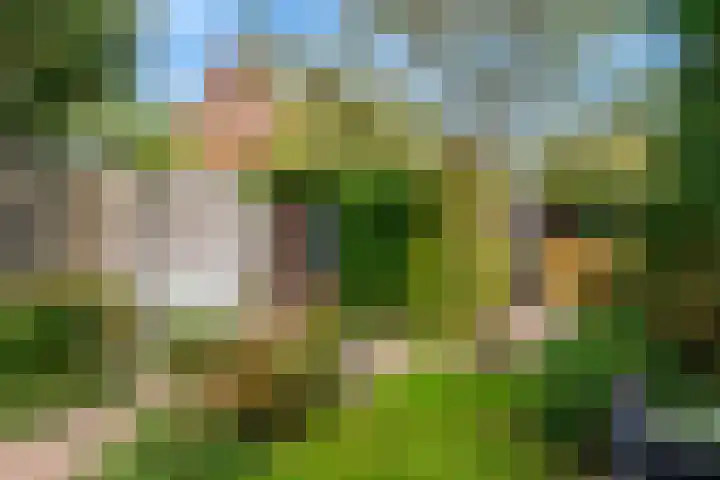 Willem de Zwijgerlaan 35 Leiderdorp thumbnail 40