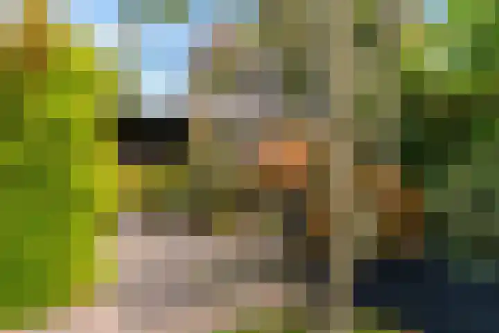 Willem de Zwijgerlaan 35 Leiderdorp thumbnail 41