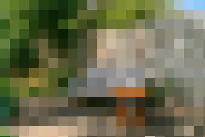 Willem de Zwijgerlaan 35 Leiderdorp thumbnail 43