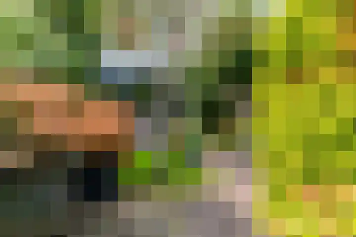 Willem de Zwijgerlaan 35 Leiderdorp thumbnail 46
